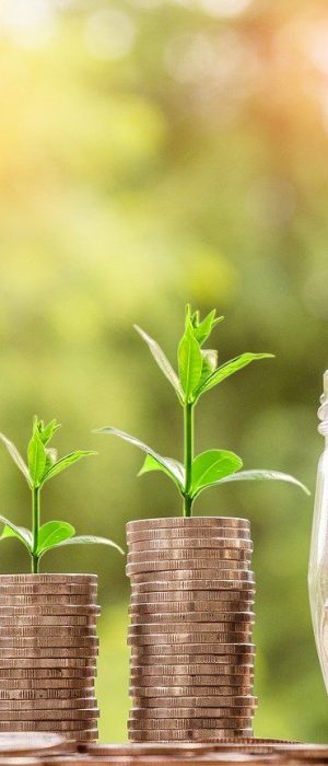 Crecer solo con contenido orgánico